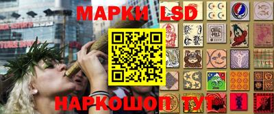 ешки Гатчина