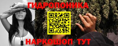 ешки Гатчина