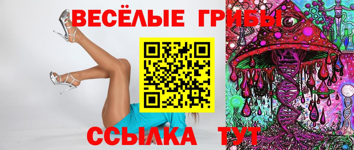 Галлюциногенные грибы ЛСД Нововоронеж