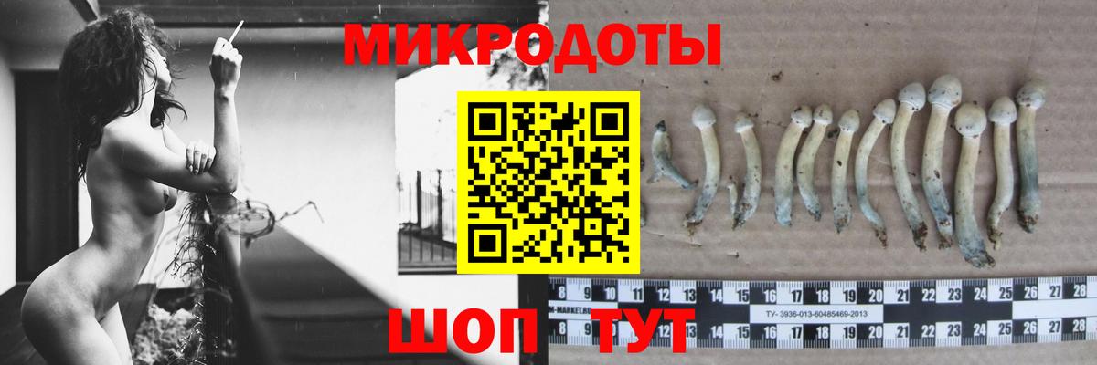 Галлюциногенные грибы Cubensis  Галлюциногенные грибы Cubensis  Нововоронеж  Вход с VPN 